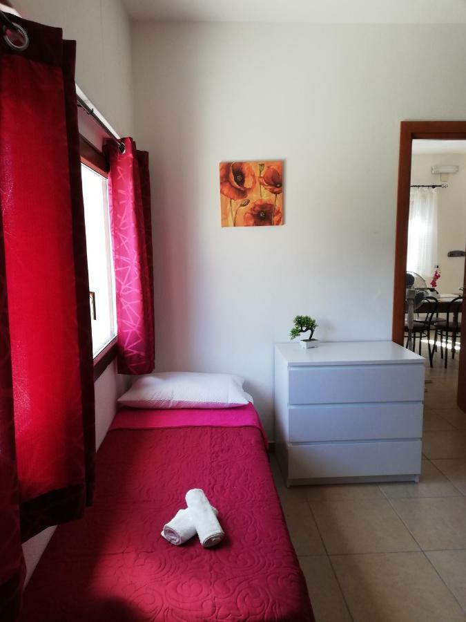 Casa Vacanze Valente Santa Maria Del Cedro Εξωτερικό φωτογραφία